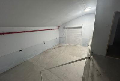 Spațiu industrial, în B-dul București - 9