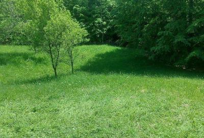 Teren de 7200 mp, în Secăria - 3