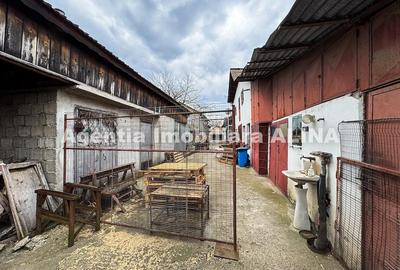 Casă cu 2 camere cu Teren 2086 Mp în Sântuhalm - 19