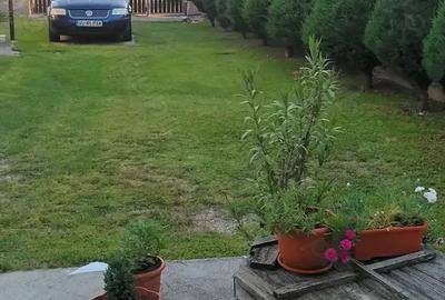 Casă cu 5 camere în Olanu - 2