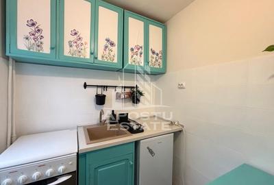 Garsoniera renovata, etaj intermediar,  zona Lipovei - 3