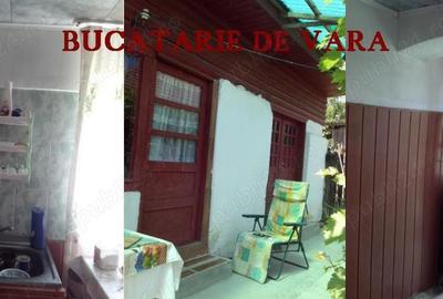 Casa de vanzare in alimpesti - 8