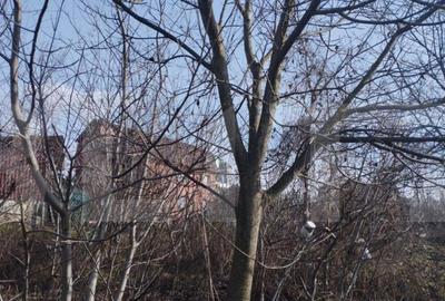 Teren de 500 mp, în Mănăștur