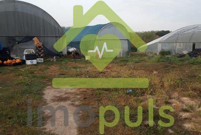 ? Teren intravilan in Jupani (Timis), 10,19 Euro/mp.? - 13