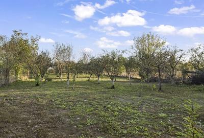 COMISION 0% | 2 Case cu Spatiu Comercial | Teren 1019mp | 540 eur/mp - 38