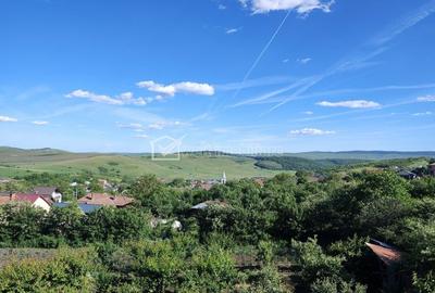 Casă cu 4 camere cu Teren 160 Mp în Dezmir