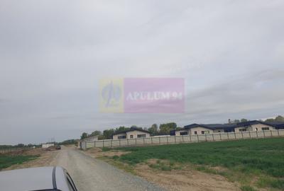 Teren în Măgurele - 19