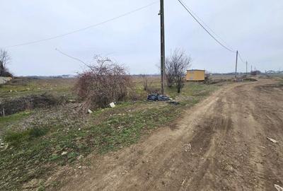 De vanzare loturi de la 500 mp in Magurele Strada Castanilor - 3