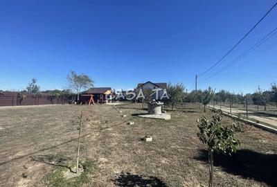 Teren Construcții intravilan de 982 mp, în Turcinești