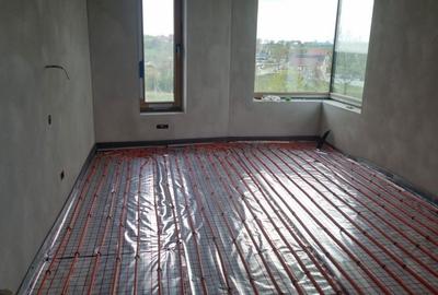 Casă cu 4 camere în Săldăbagiu de Munte - 6