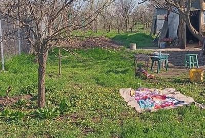 Casă cu 3 camere cu Teren 863 Mp în Central - 2