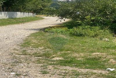 Teren de vanzare 8,700 mp Tarlungeni, comision 0 cumparator Teren de vanzare 8,700 mp Tarlungeni, comision 0 cumparator - 3