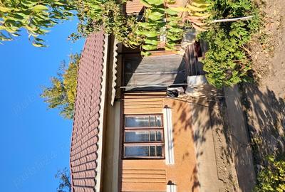 Casă cu 3 camere cu Teren 1354 Mp în Segarcea - 5