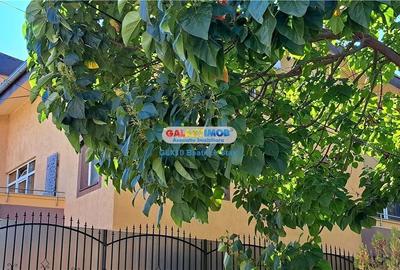 Inchiriere vila reprezentativa Rond Cosbuc / Libertatii / Parcul Carol Inchiriere vila reprezentativa Rond Cosbuc / Libertatii / Parcul Carol - 3