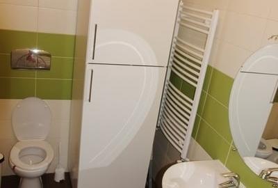 Apartament cu 2 camere semidecomandat, mobilat în Iancu Nicolae - 5