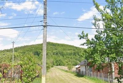 Teren de 4500 mp, în Râșca - 1