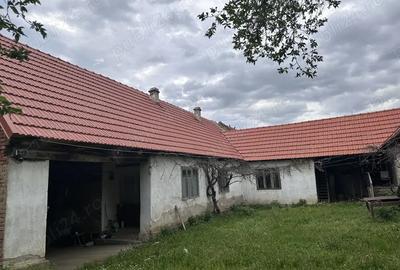 Casa Zorlen?ul Mare Casa Zorlen?ul Mare - 3