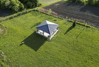 Inchiriere platforma teren 4.000 mp Curtici - 16