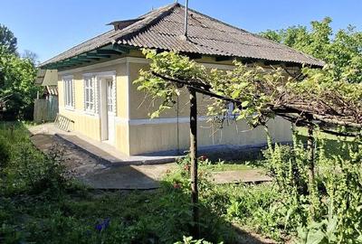 Casă cu Teren 700 Mp în Icușești - 3