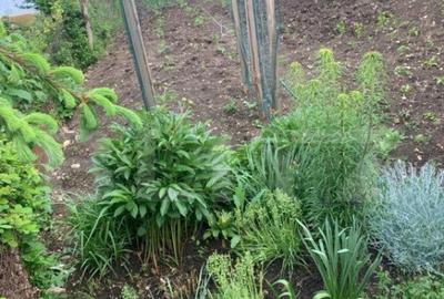 Casa individuala, cu 3 camere in zona Turda Noua Casa individuala, cu 3 camere in zona Turda Noua - 15