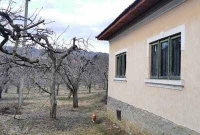 Casă cu 4 camere în Capu Coastei - 5