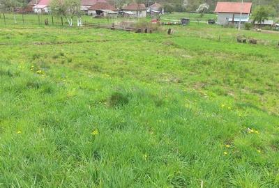 Spațiu comercial, în Bulz - 6