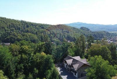 Pensiune de vanzare in Sovata Conacul Cosalina - 29