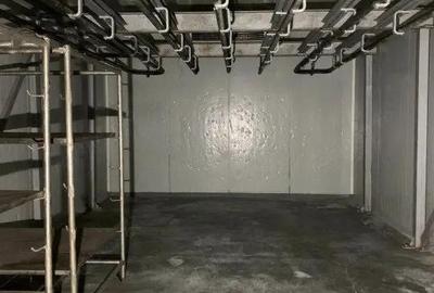 Spațiu comercial, de 500 mp, în Buziaș - 6