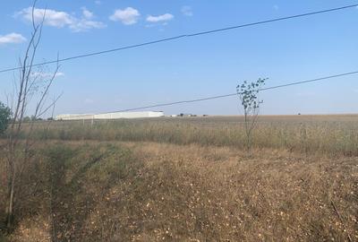 Teren Construcții intravilan de 10000 mp, în Afumați - 3