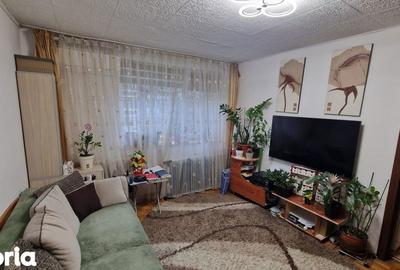 Apartament cu 2 camere semidecomandat, mobilat în Brazda lui Novac - 2