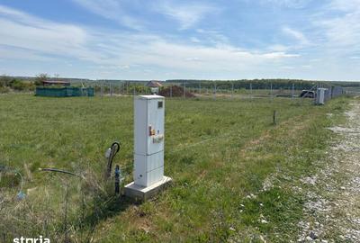 Teren de 800 mp, în Sânmartin - 6