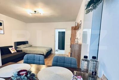 Garsonieră decomandată în Brazda lui Novac - 3