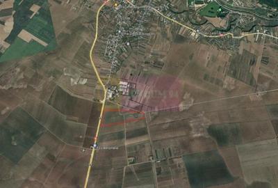 Teren 40ha Adunatii Copaceni | Industrial/ Logistic - 3