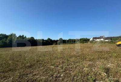 Teren de 3000 mp, în Central