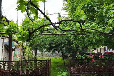 Casă cu 8 camere cu Teren 415 Mp în Drăgășani - 10