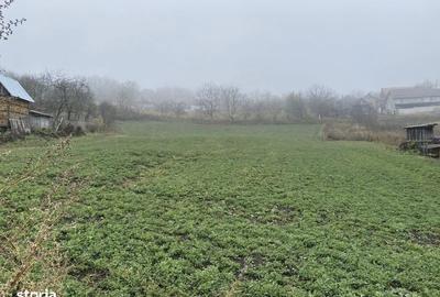 Teren de 2500 mp, în Căianu - 1