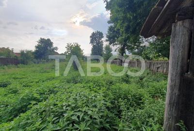 Casa de vanzare in Mandra 140 mp utili curte sura anexe 3 beciuri - 8