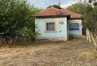 Casă cu 6 camere cu Teren 3400 Mp în Sprâncenata - 10