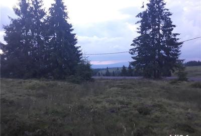 Teren în Beliș - 2