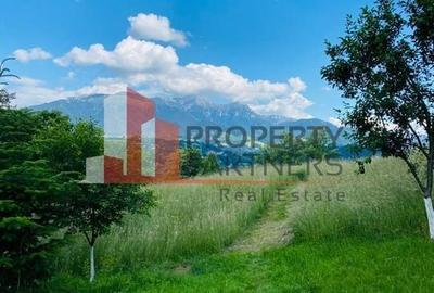 Vilă in Bran cu teren de 28.000 mp și priveliște spectaculoasa - 26