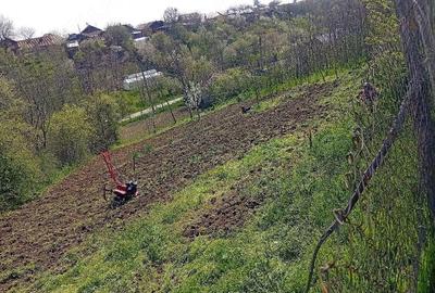Teren de 860 mp, în Leu - 6