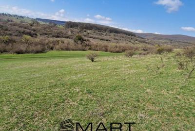 Teren extravilan 16420 mp | Sibiu - Daia - 3