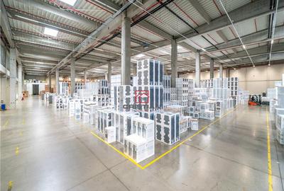 Depozit/hala/spatiu industrial Ciorogarla - A1 - KM13, Ilfo - 6