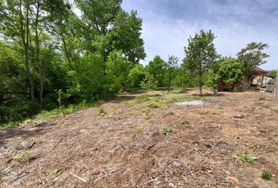 Teren 2900 m2, com. Salcuta, Jud. Dolj - 5