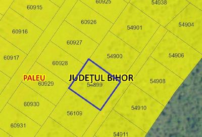 Teren de 1000 mp, în Săldăbagiu de Munte - 2