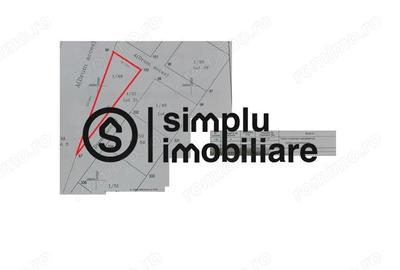 Teren Intravilan Damila - 1