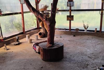 Casă cu 5 camere cu Teren 1238 Mp în Florica