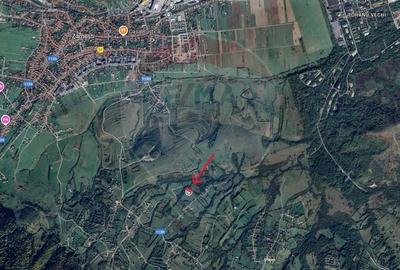 Teren Construcții intravilan de 12615 mp, în Tohănița - 5