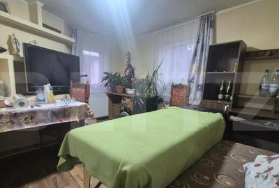 Casa 4 dormitoare, 190 mp, 1306 mp teren, zona Careiului - 20