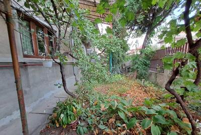 Vila Interbelica 6 camere Vatra Luminoasa - 6